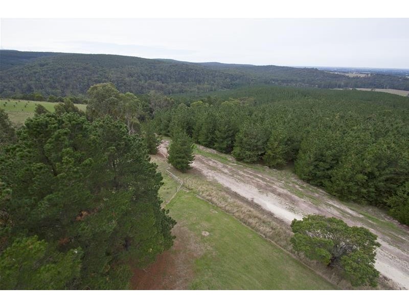 80 Boola Views Road, Tyers VIC 3844