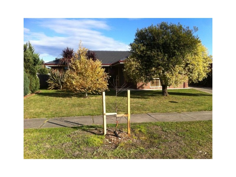 64 Swallow Grove, Traralgon VIC 3844