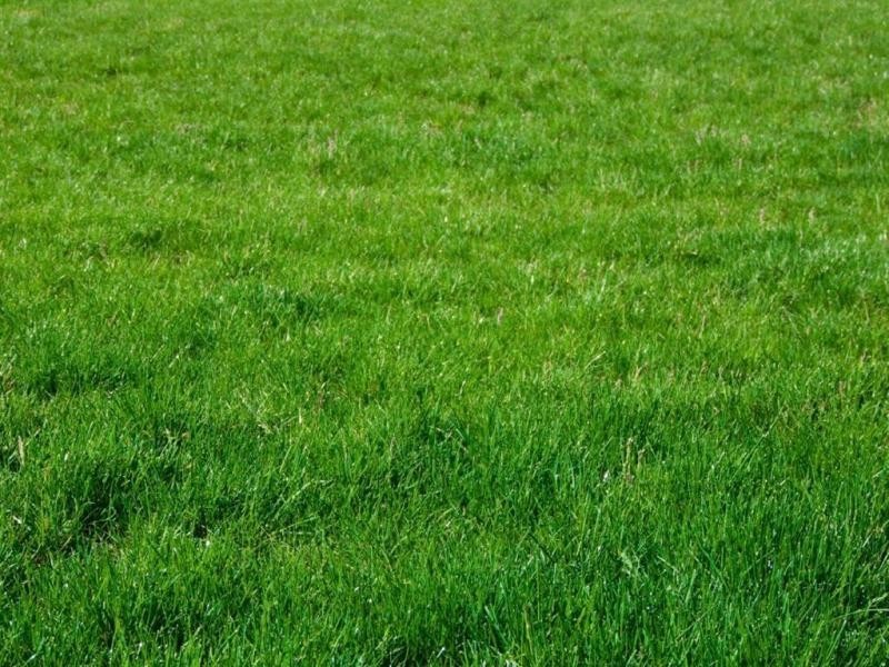 11 Tintern Place, Traralgon VIC 3844