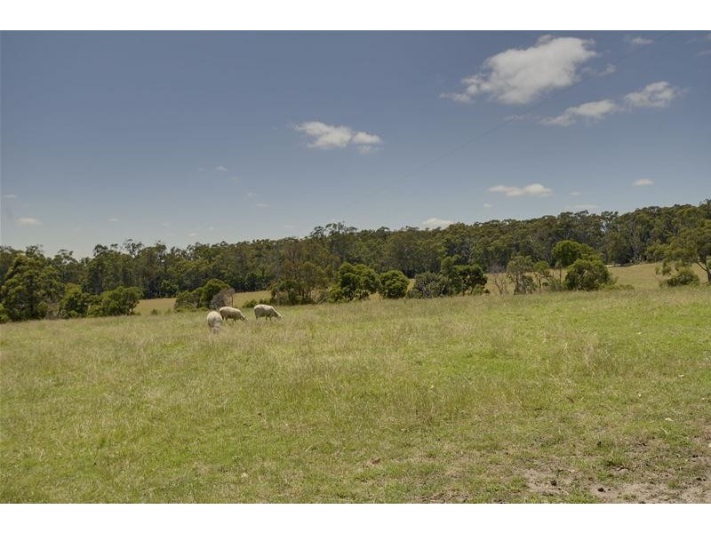 39 McAlpine Road, Carrajung VIC 3844