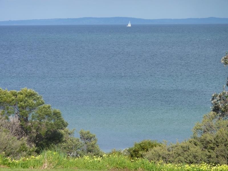 81 Bluff Road, St Leonards VIC 3223