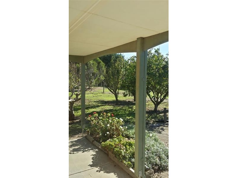 135 Old St Leonards Road, St Leonards VIC 3223