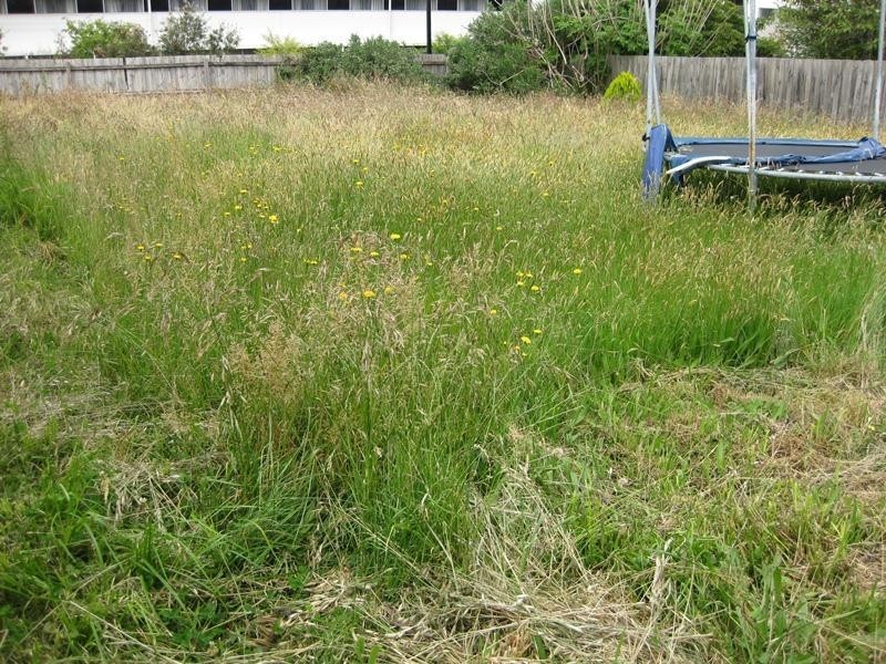 14 Abrehart Street, Eumemmerring VIC 3177