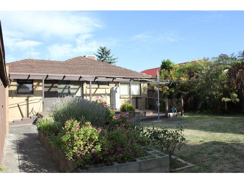 11 Shalimar Crescent, Dandenong North VIC 3175