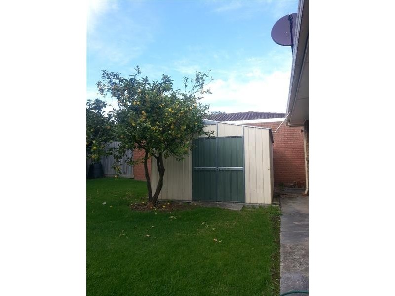 17 Westminster Avenue, Dandenong North VIC 3175