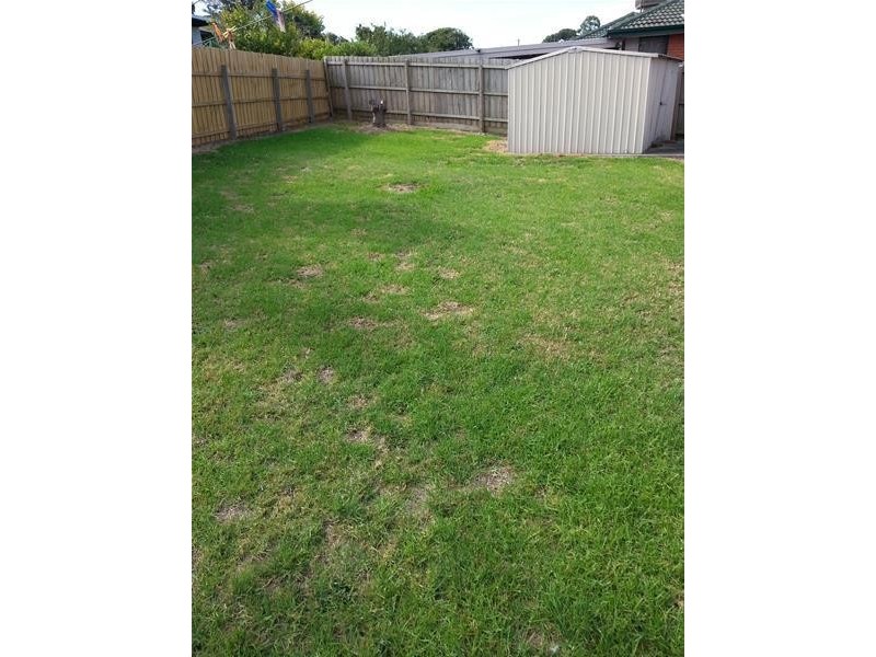 9 Cormorant Close, Endeavour Hills VIC 3802