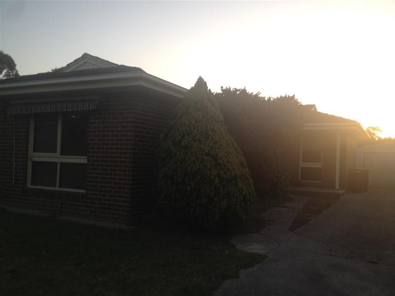 17 Fernbank Crescent, Mulgrave VIC 3170