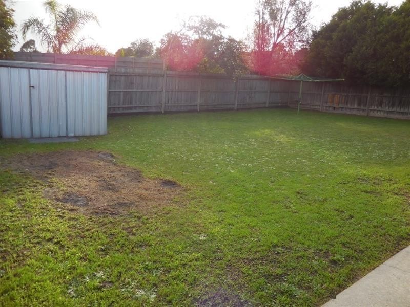 3 Manley Close, Endeavour Hills VIC 3802