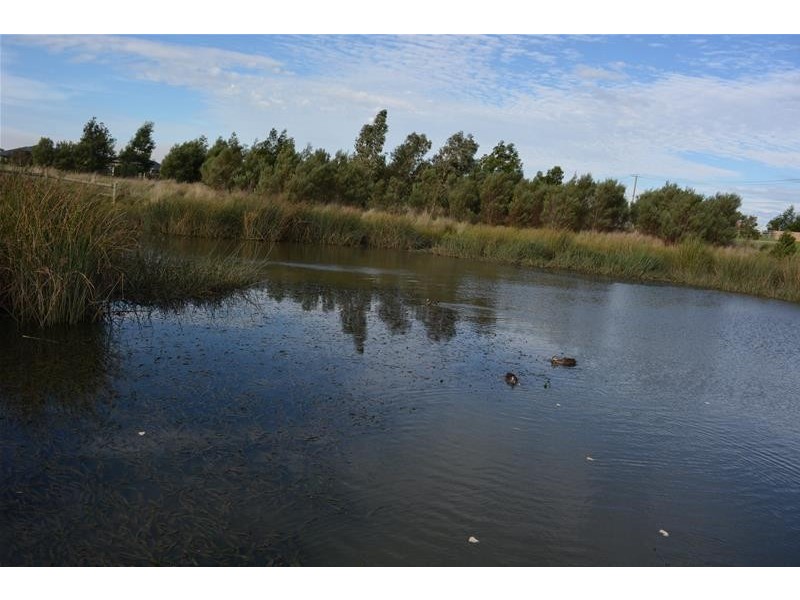 6 Serenity Street, Pakenham VIC 3810