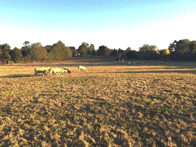 12 Green Valley Drive, Drouin VIC 3818