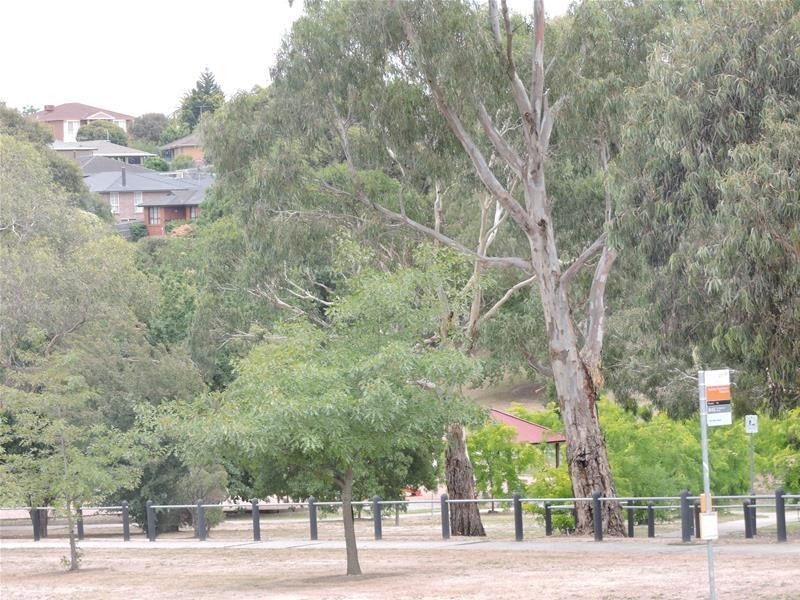 246 James Cook Drive, Endeavour Hills VIC 3802