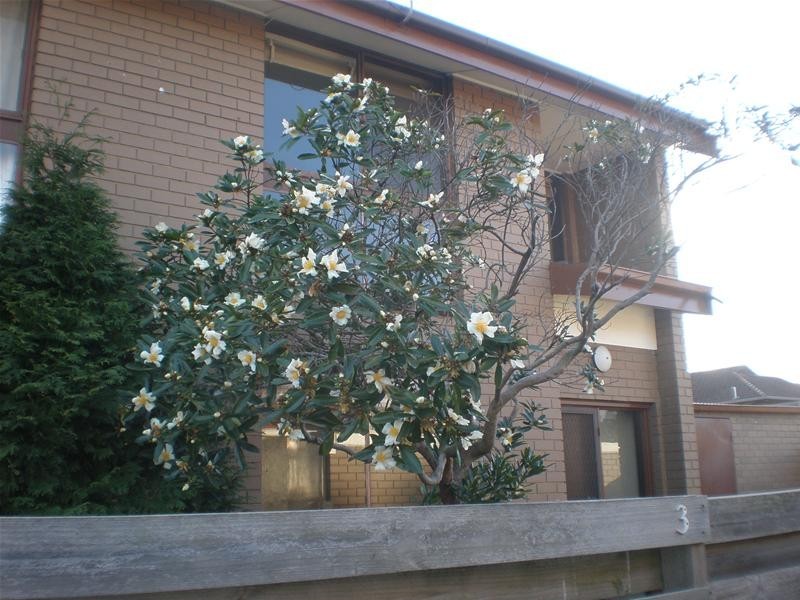 3/8 Stuart Street, Noble Park VIC 3174