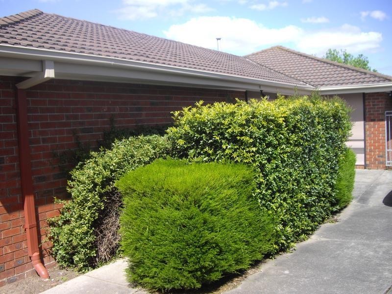 14 Huckson Rise, Dandenong North VIC 3175