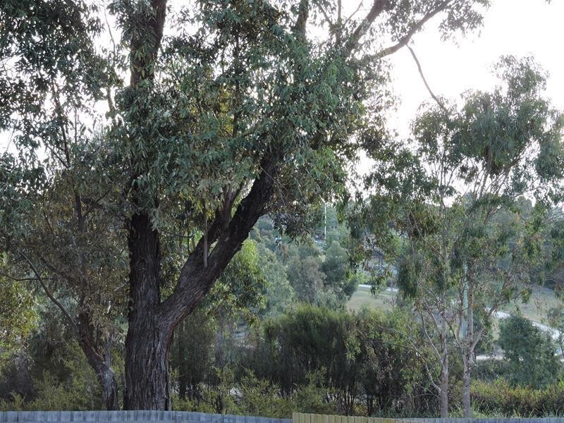 8 Wimpole Street, Noble Park North VIC 3174