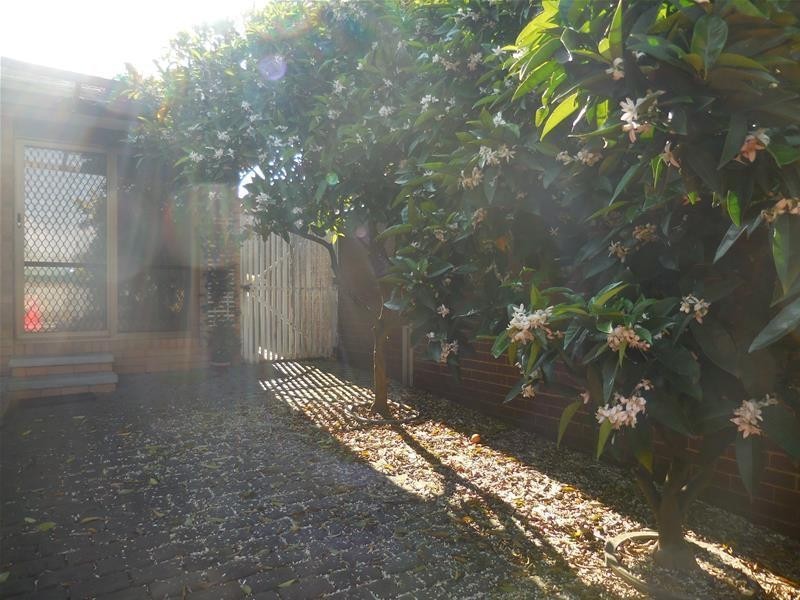 51 Jacksons Road, Noble Park North VIC 3174