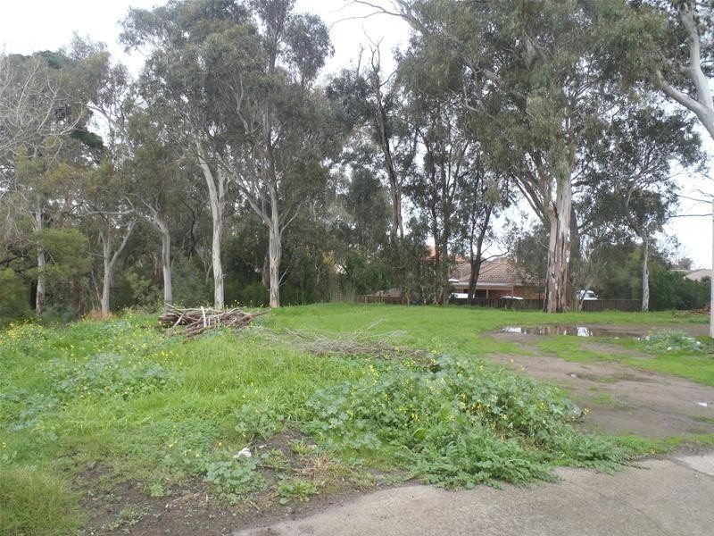 48 Wedge Street, Dandenong VIC 3175