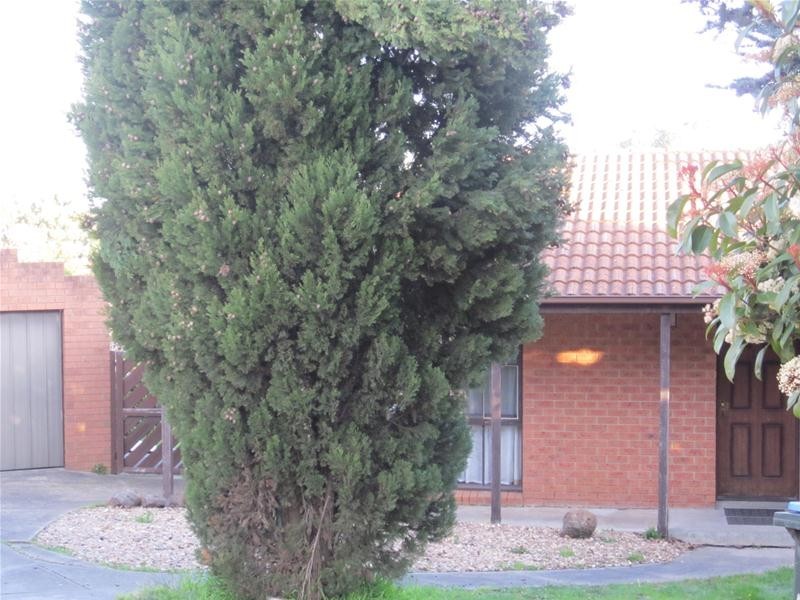 5 Shafer Court, Endeavour Hills VIC 3802