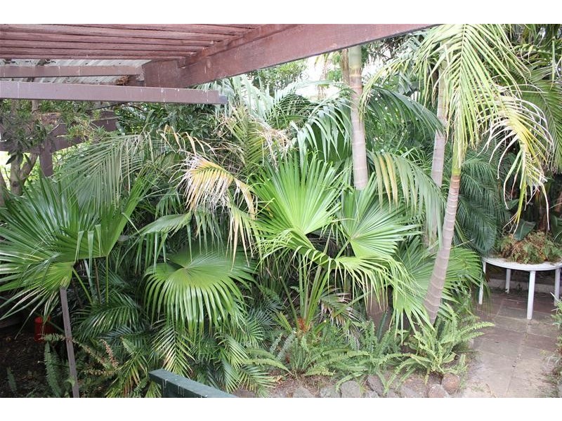 2 Albany Court, Endeavour Hills VIC 3802