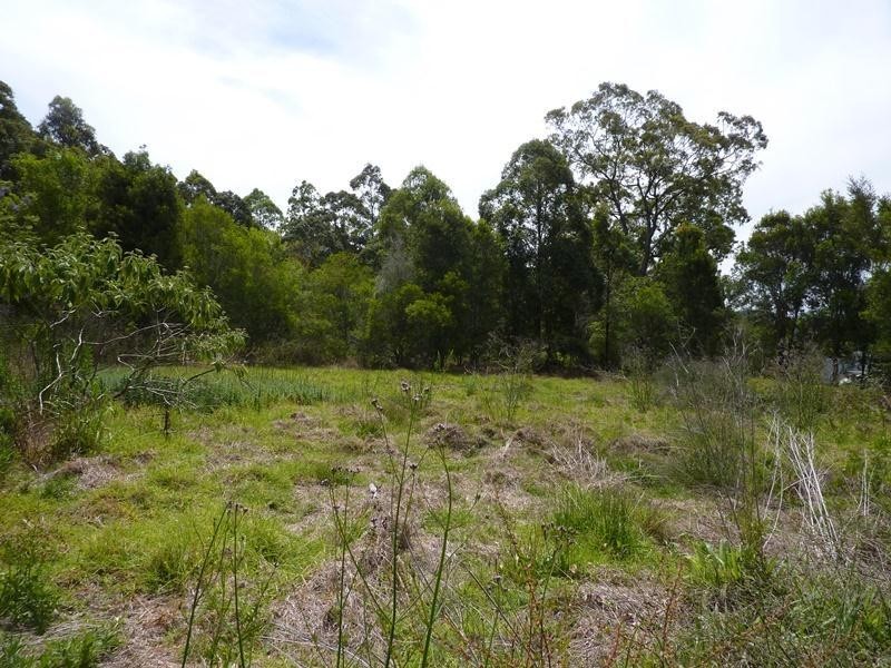 15 Lombard Street, Coolongolook NSW 2423