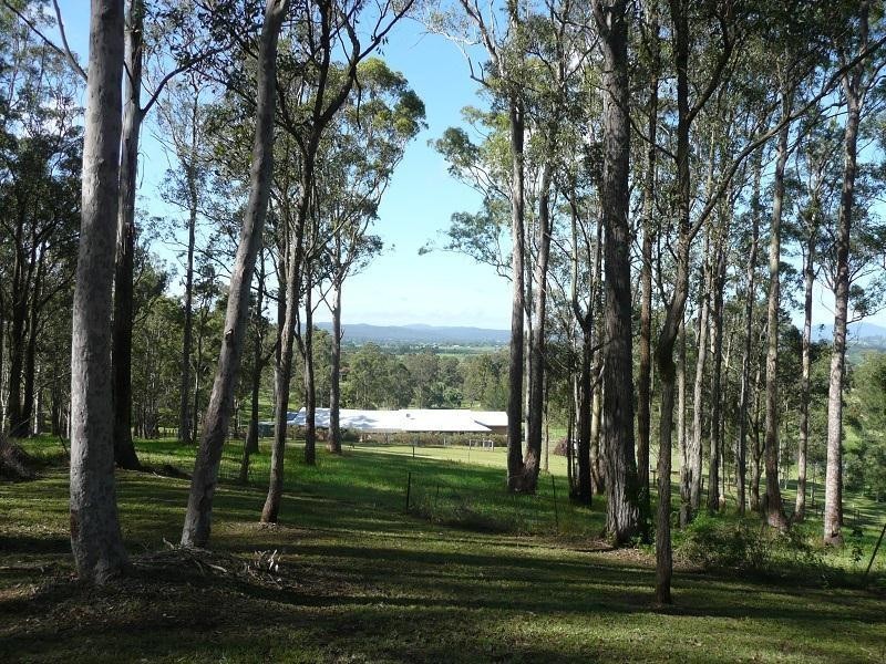 331 Wingham Road, Taree NSW 2430