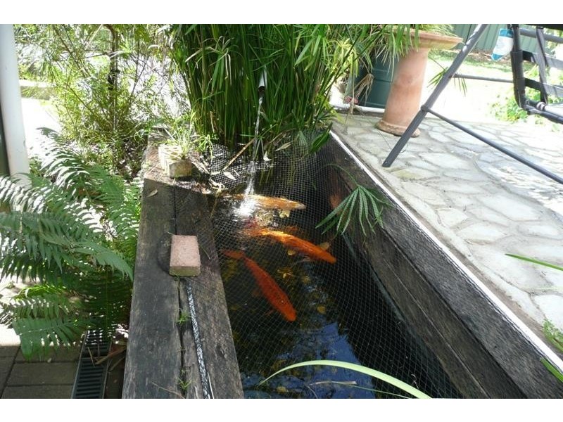 20 Peverill Street, Tinonee NSW 2430