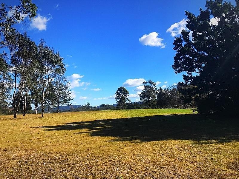 492 Kimbriki Road, Kimbriki NSW 2429