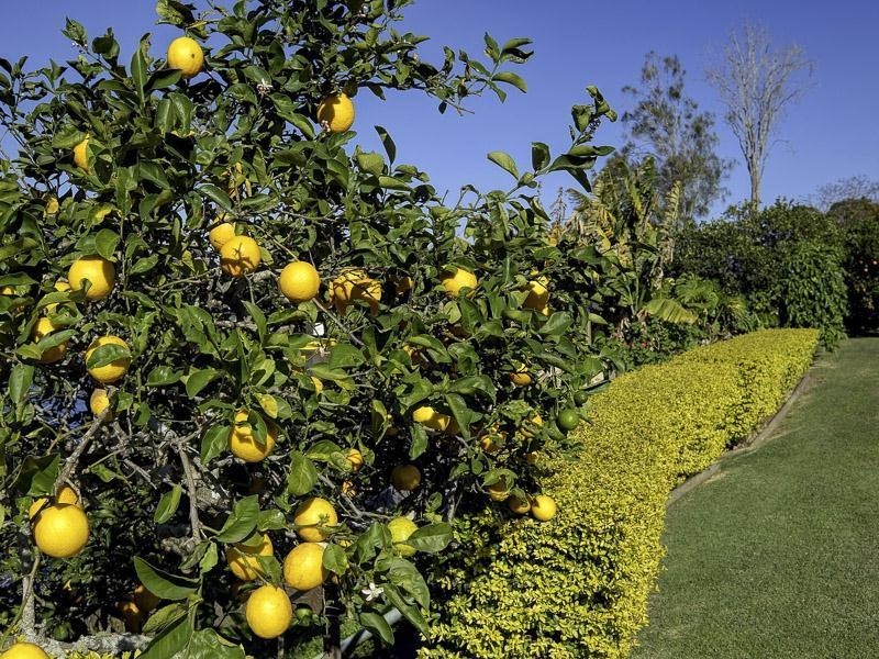 5 Phillip Street, Taree NSW 2430