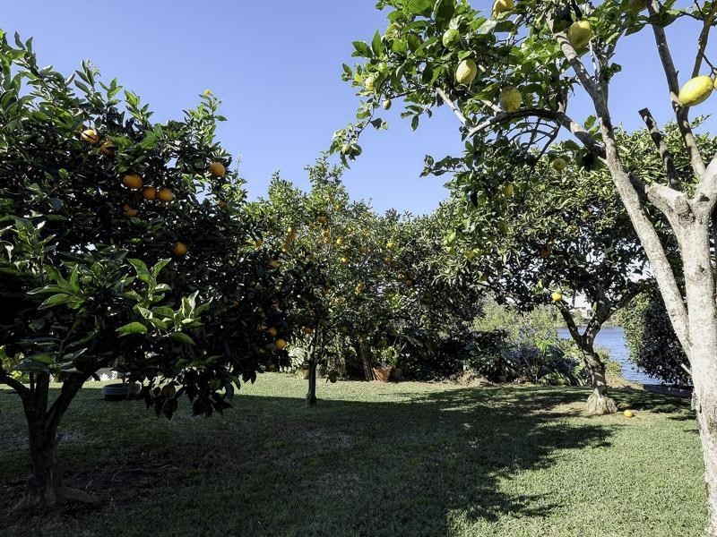 5 Phillip Street, Taree NSW 2430