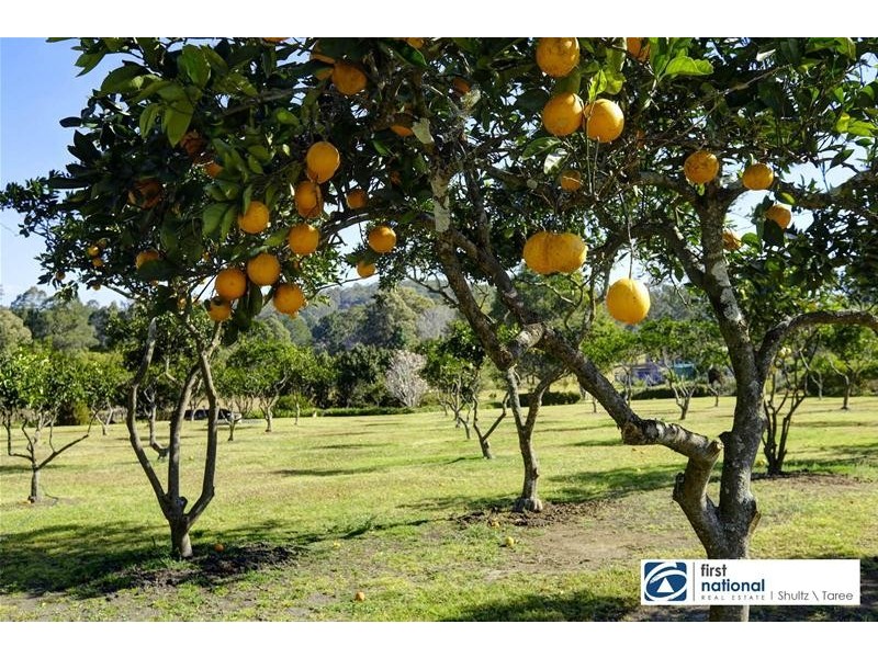 19 Iluka Circuit, Taree NSW 2430