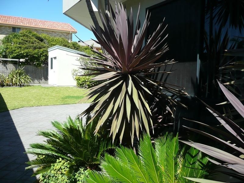 2/6 Ocean Drive, Wallabi Point NSW 2430