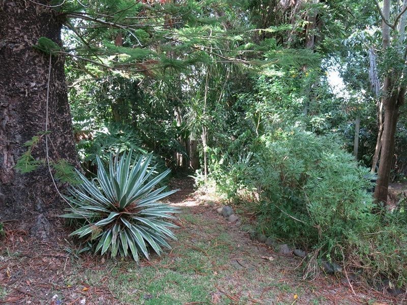 322 Victoria Street, Taree NSW 2430