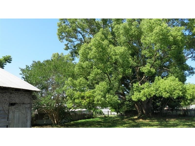 13 Whitbread Street, Taree NSW 2430