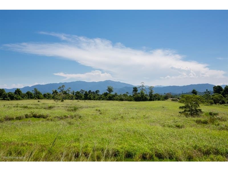 91 Walter Lever Estate Road, Silkwood QLD 4856