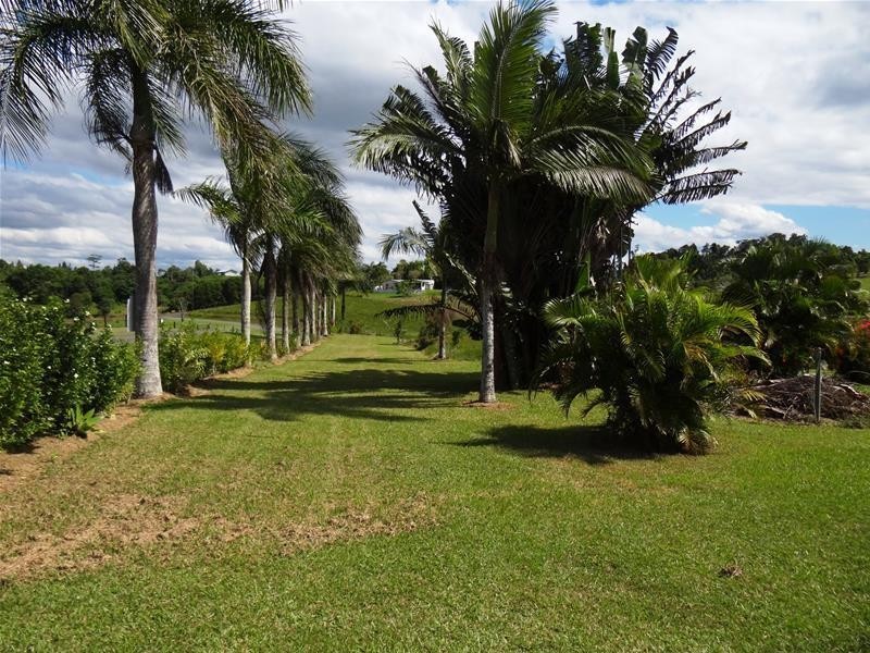 23 Zappala Road, Innisfail QLD 4860