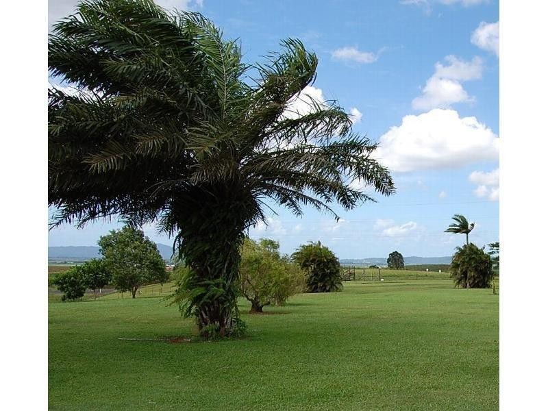 18 Riera Road, Innisfail QLD 4860