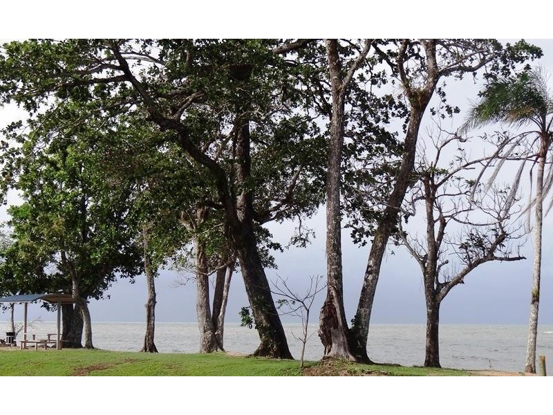 9 Elizabeth Street, Flying Fish Point QLD 4860