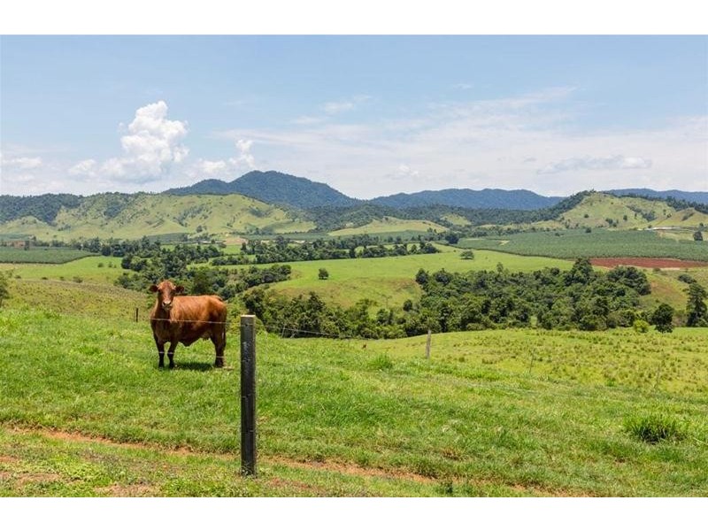 70 DUNNE Road, Innisfail QLD 4860