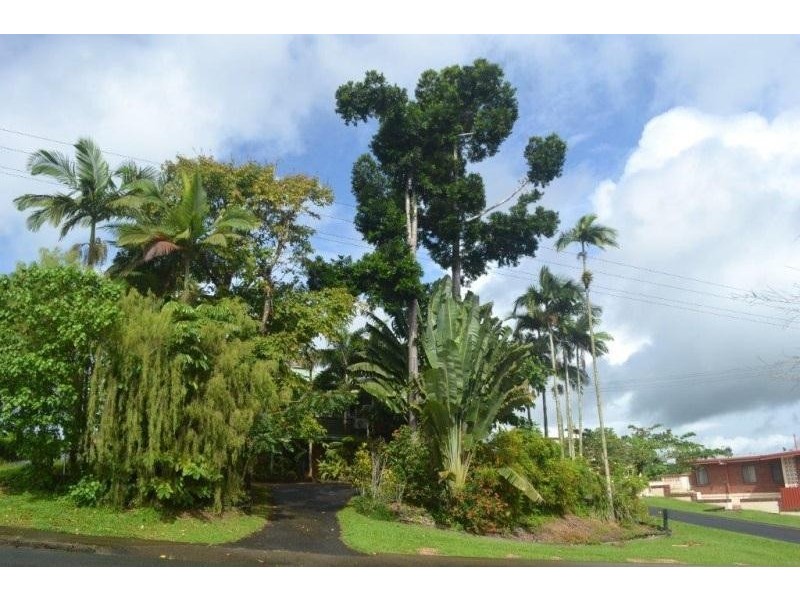 85 Mourilyan Road, East Innisfail QLD 4860