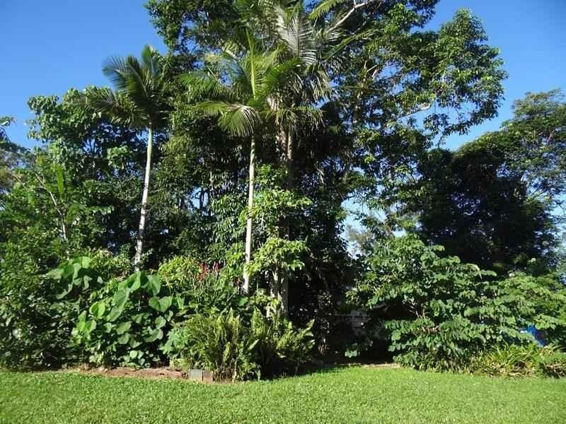 121 Aerodrome Road, Mundoo QLD 4860