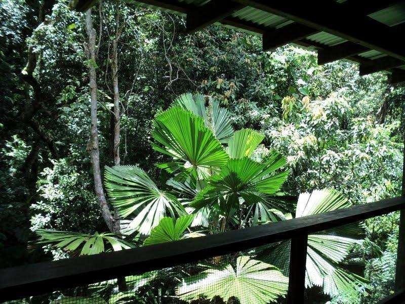 61 Greendale crt Road, Jubilee Heights QLD 4860