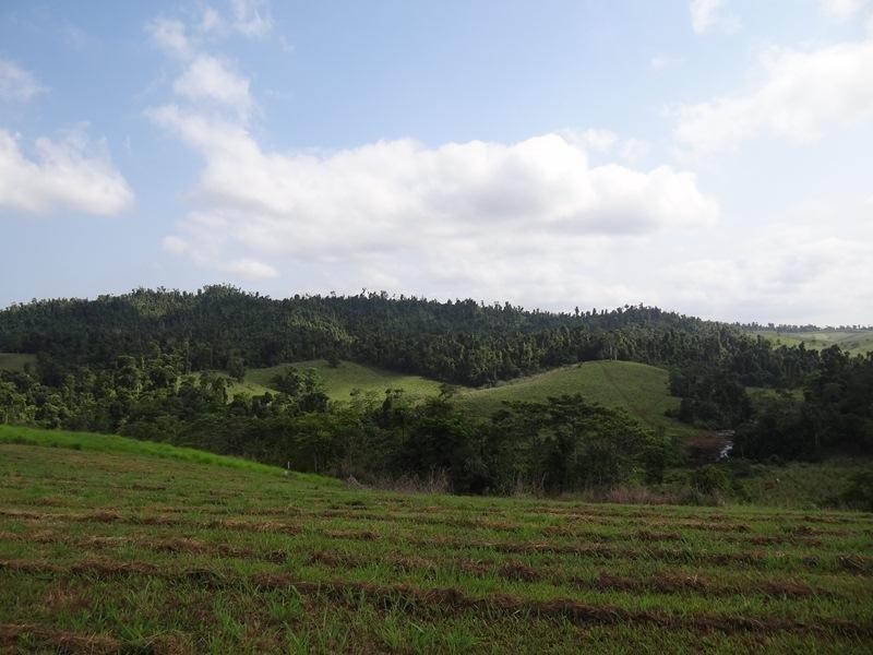 2 Rainforest Falls Road, Palmerston QLD 4860