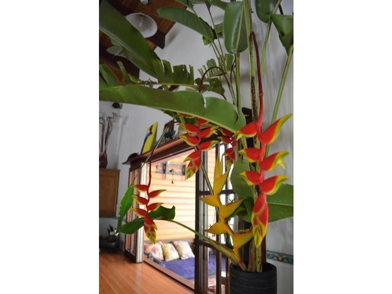 lot 4 TURALBA Road, Jubilee Heights QLD 4860