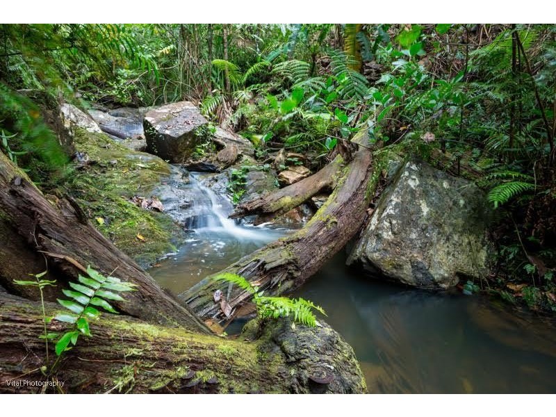 61 Waterfall Place, Jubilee Heights QLD 4860