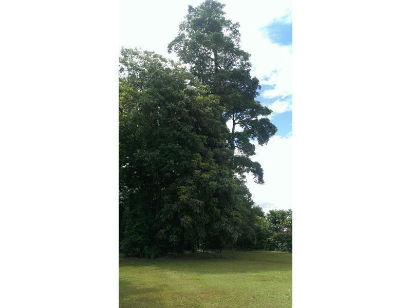 729 Palmerston Hyway Road, Palmerston QLD 4860