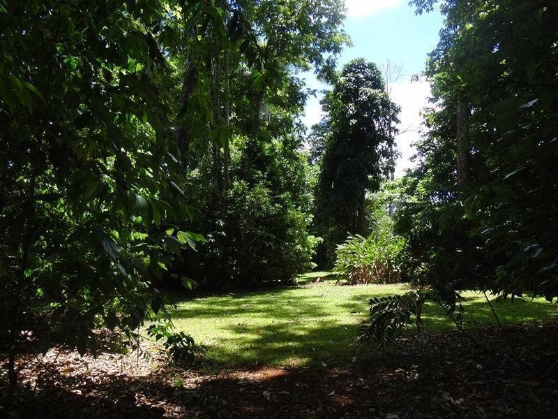 729 Palmerston Hyway Road, Palmerston QLD 4860