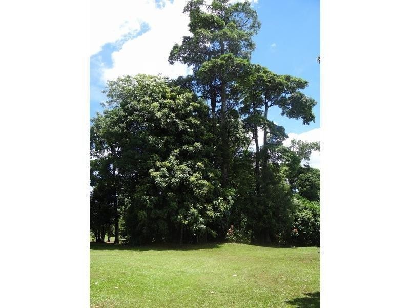 729 Palmerston Hyway Road, Palmerston QLD 4860