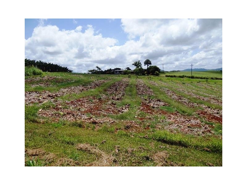 17 Spry Road Nerada, QLD, 4860, Nerada QLD 4860