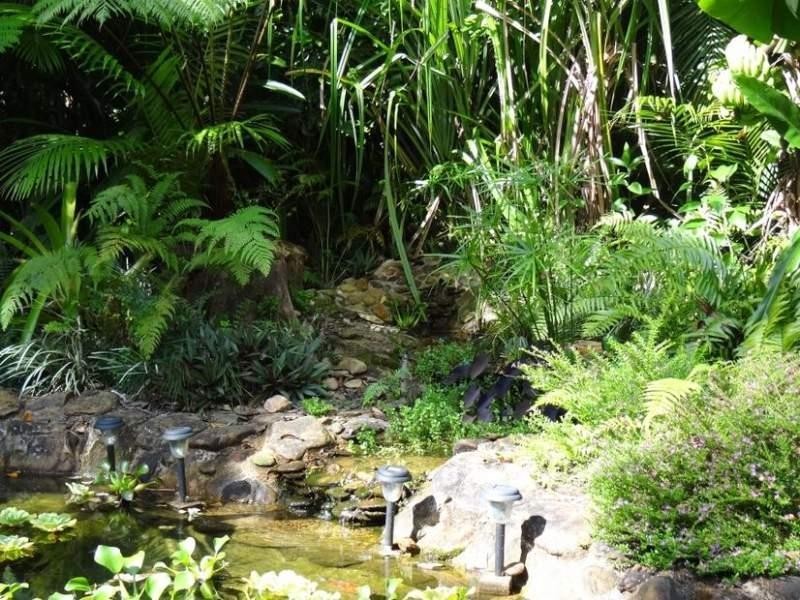 12 Greendale Road, Innisfail QLD 4860