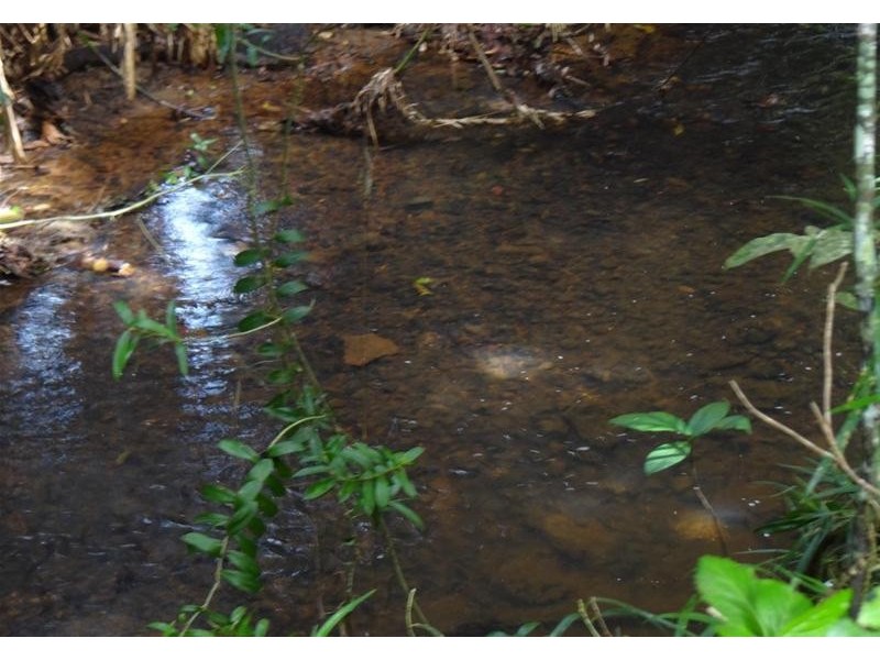 97 Gibson Road, Mena Creek QLD 4871