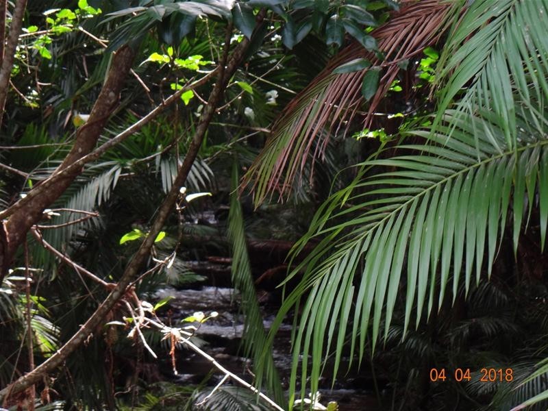 Lot 93 Greendale Court, Jubilee Heights QLD 4860